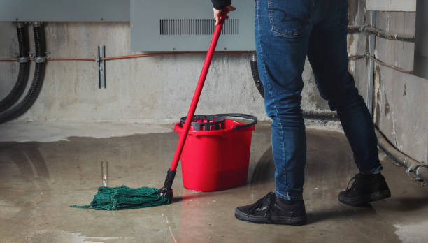 Best Basement water damage restoration  in Gordon, GA