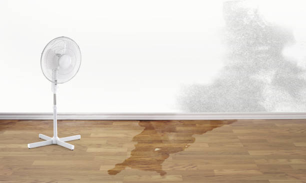 Best Carpet water damage restoration  in Gordon, GA