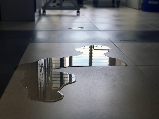Best 24/7 water damage repair  in Gordon, GA