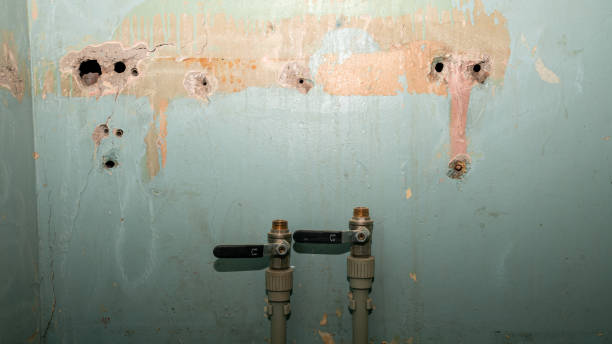 Best Flood damage cleanup  in Gordon, GA