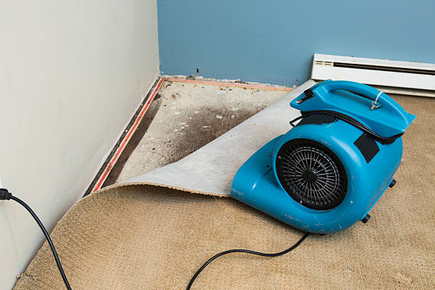 Best Sewage cleanup and water damage restoration  in Gordon, GA